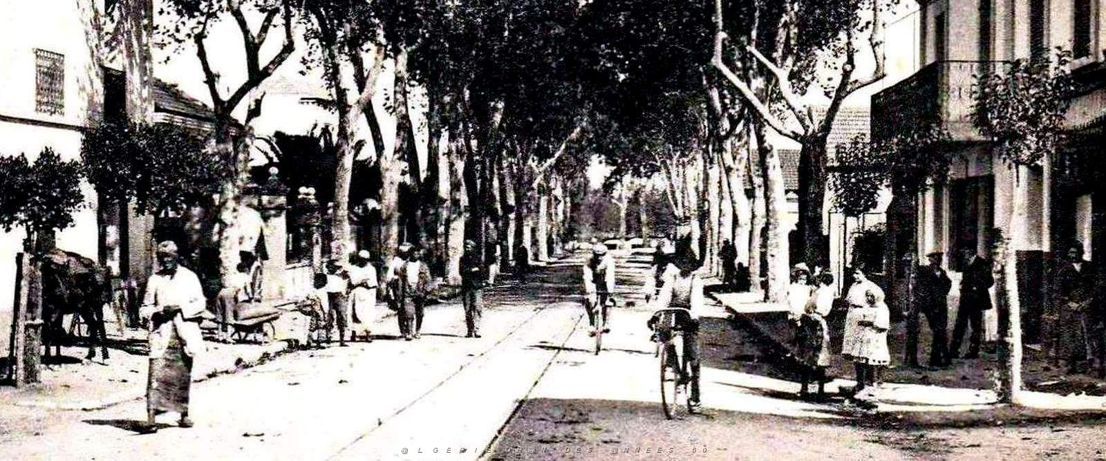 1732- Zeralda - La Rue2 Nationale.jpg